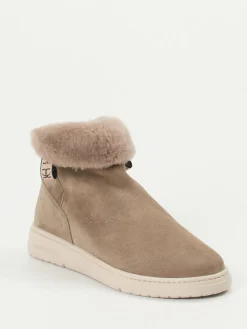 – Stiefeletten aus Nubukleder taupe-Candice Cooper