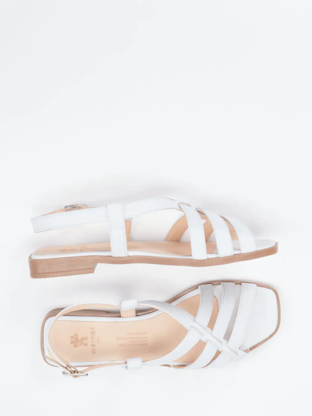 – Riemchensandale aus Kalbleder-Werner Best